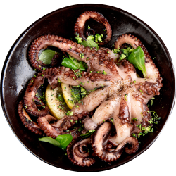 Whole Cleaned Octopus