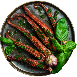 Moroccan Octopus Tenticles